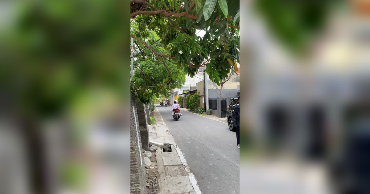 VIDEO: Pedagang Mie Ayam Antar Pesanan Pakai Satu Tangan Sambil Naik Motor