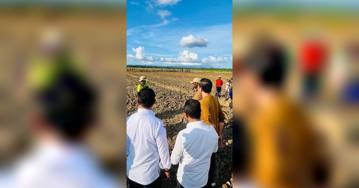 PDIP Kritik Food Estate Kejahatan Lingkungan, Gerindra: Pakai Tanah Rawa, Bukan Babat Pohon