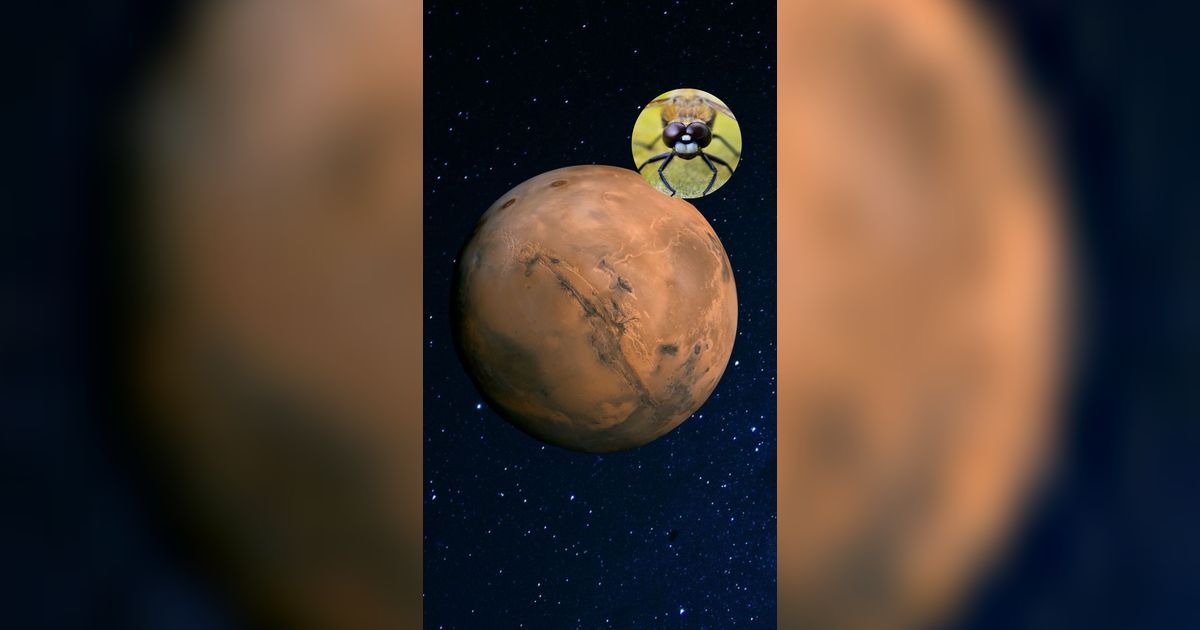 Hewan Ini Punya Peran Penting jika Manusia Mau Membangun Koloni di Mars