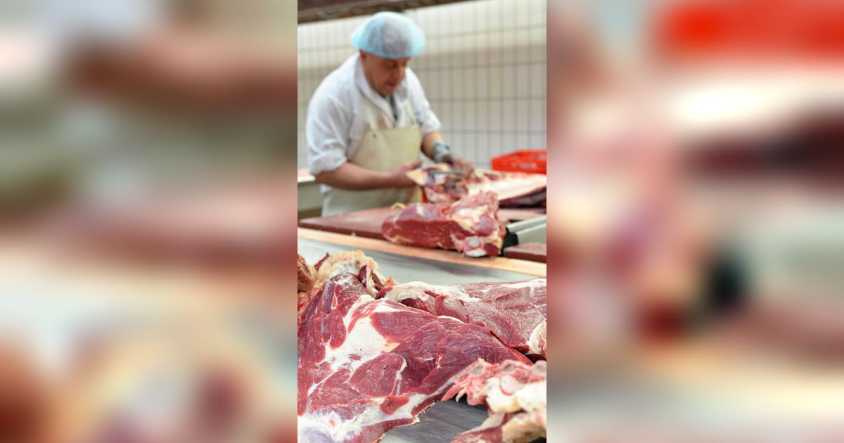 Viral! Karyawan Toko Daging Kuliti Tulang Iga Domba Mentah dengan Mulut, Diklaim sebagai Teknik Kuno yang Sudah Punah