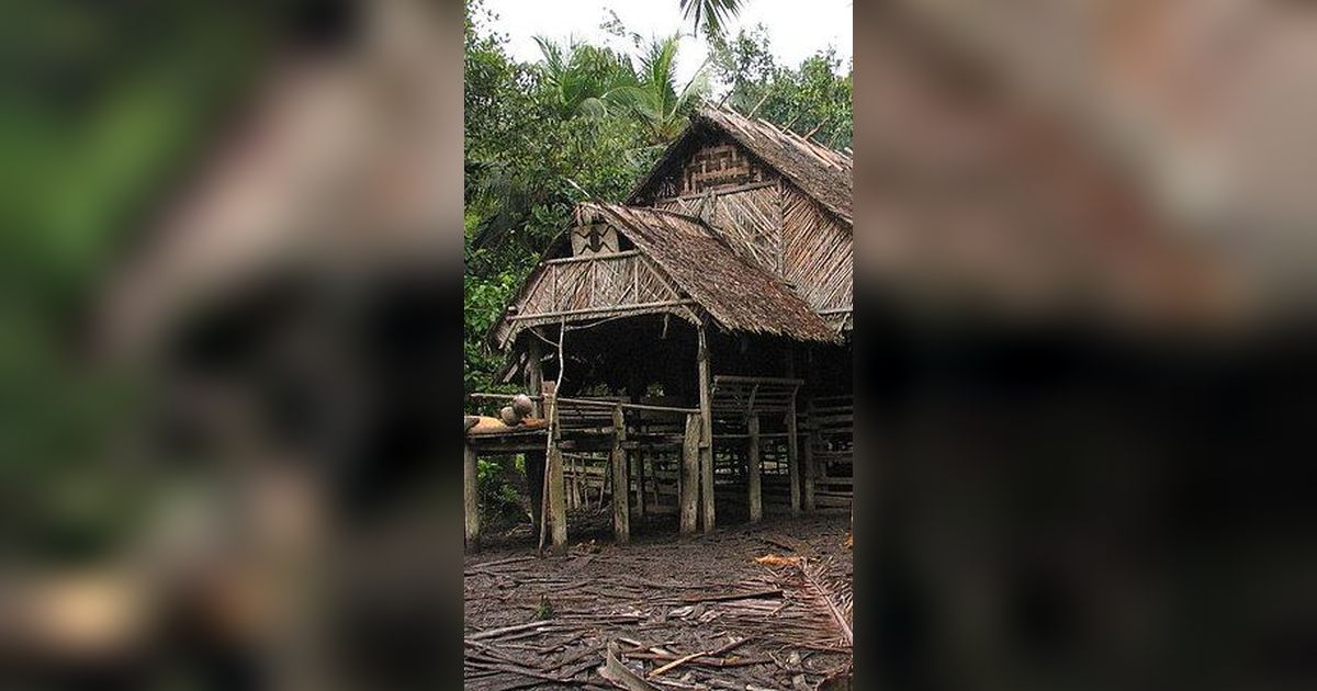 Rumah Tradisional di Sumbar Ini Dibangun Tanpa Paku, Ini Rahasianya Bisa Berdiri Kokoh