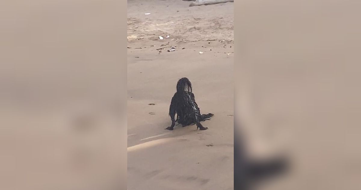 Deretan 8 Potret Penampakan Hantu yang Keluyuran di Siang Bolong, Bukannya Bikin Takut Malah Gemesin