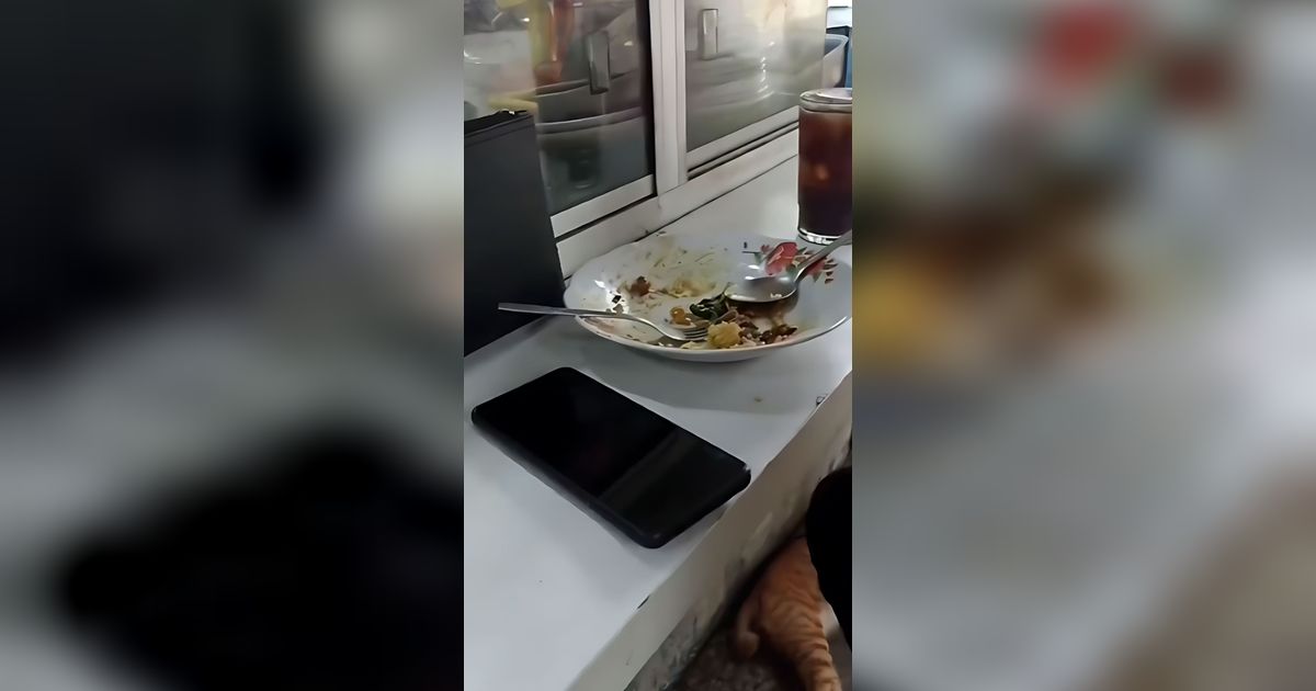 Mau Suapan Terakhir Pria Ini Langsung Berhenti Makan, Lihat Benda Cokelat Bersungut dan Berkaki Panjang Terkapar di Antara Nasi dan Bumbu