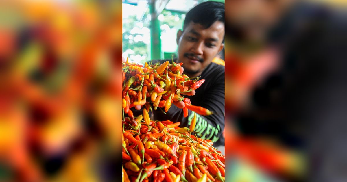 FOTO: Harga Cabai Rawit Merah Masih Tinggi Tembus Rp85 Ribu di Pasar Tradisional Jakarta