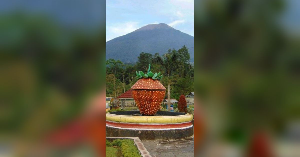 Mengunjungi Kebun Stroberi di Lereng Gunung Slamet, Liburan Murah Meriah Sembari Melepas Penat