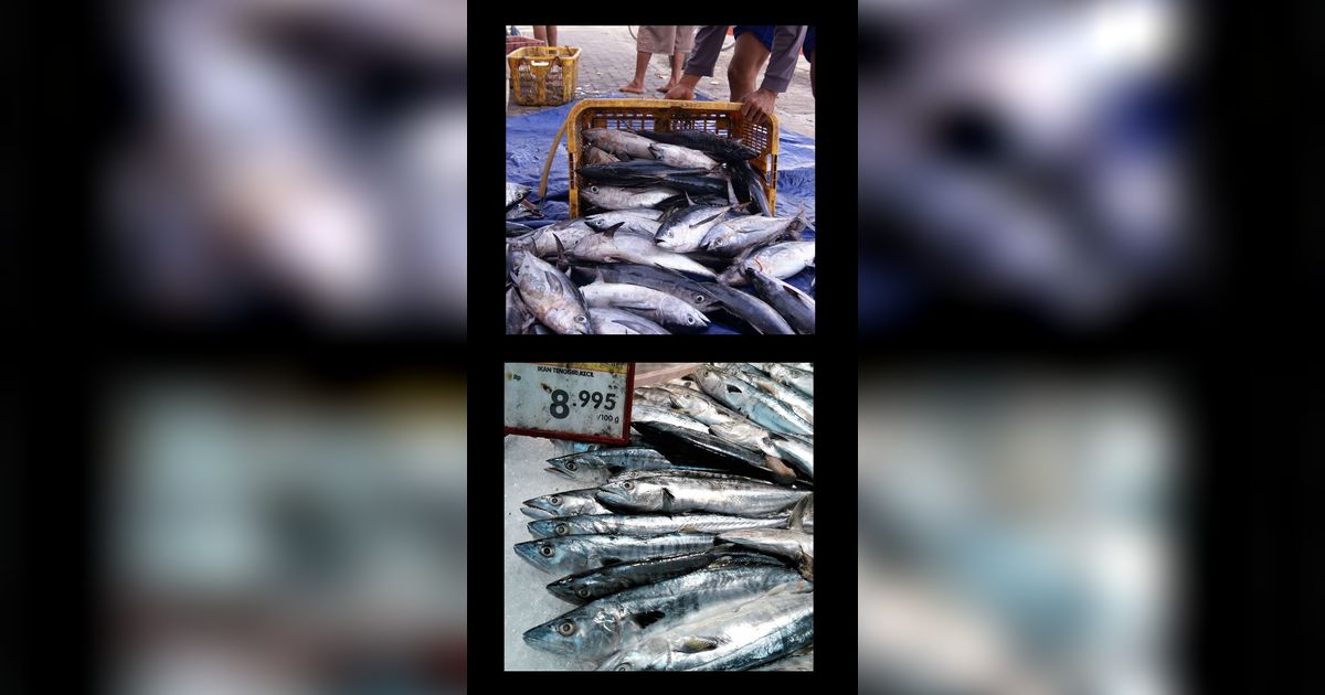 7 Ikan Murah Meriah yang Lebih Kaya Omega-3 daripada Salmon