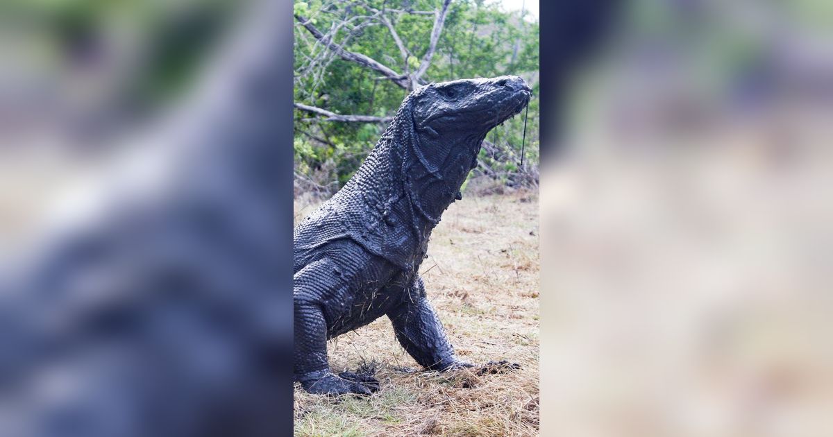 Fakta Baru Kasus Penjualan Anak Komodo: Pelaku Sudah 5 Kali Layani Pesanan dari Bali dan Jawa