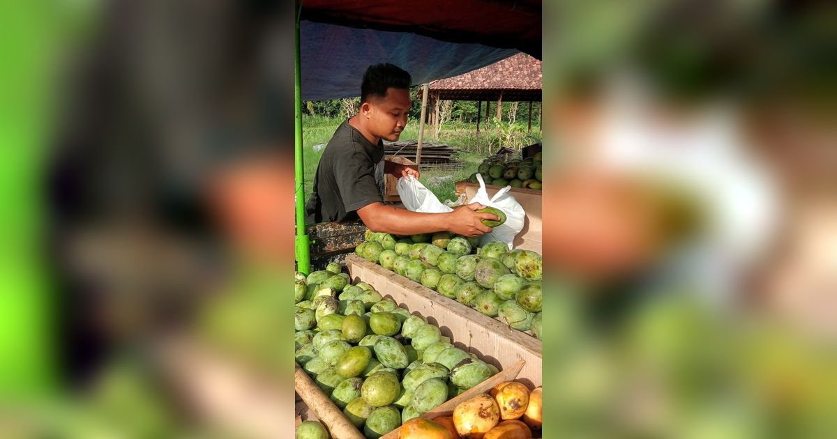 Pria ini Bongkar Akal-akalan Tukang Mangga Biar Pembeli Tertarik, Awas Jangan Ketipu