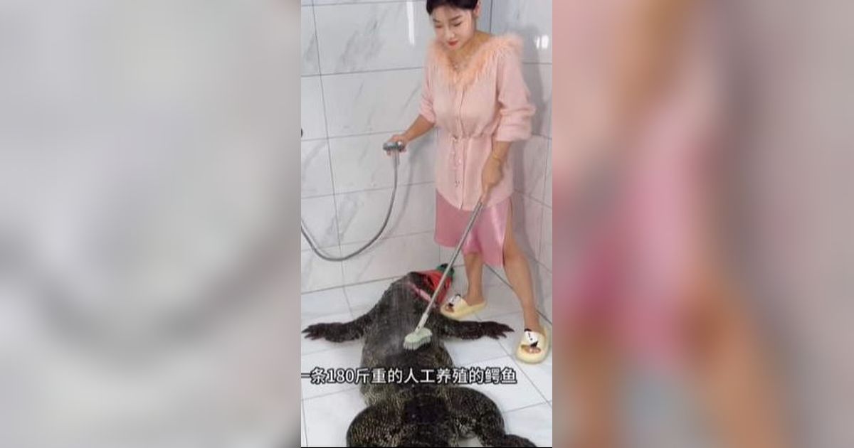 Food Vlogger Went Viral After Shows How She Cooking 90Kg Alligator at ...