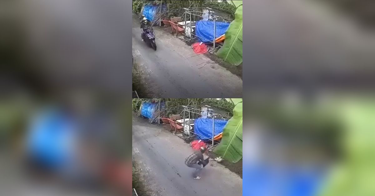 Viral Maling Ayam Lancarkan Aksinya Cuma dalam Hitungan Detik, Ternyata Pakai Trik Ini