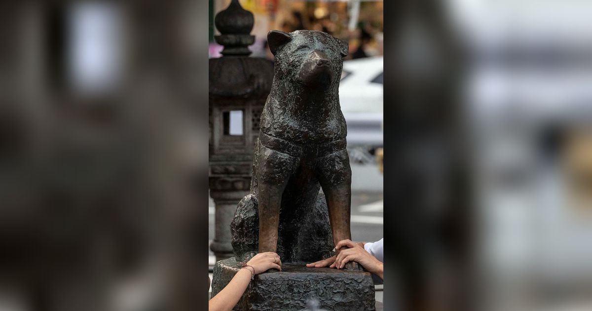 FOTO: Kisah Haru Hachiko Anjing Setia dari Jepang yang Berusia 100 Tahun