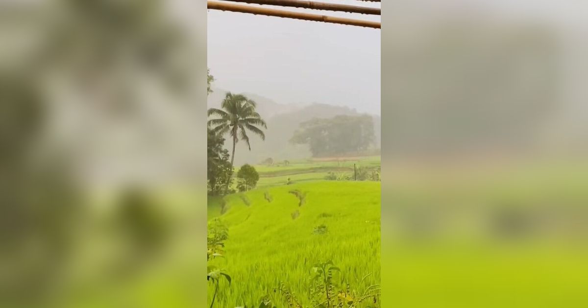 Indahnya Kampung Sukatinggal Tasikmalaya saat Diguyur Hujan, Pemandangan Sawahnya Curi Perhatian