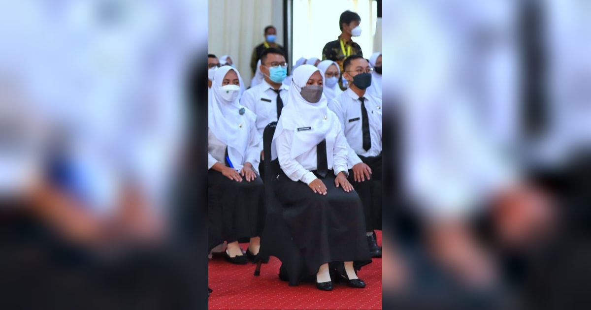 UU ASN: PNS Bisa Kerja di TNI/Polri Isi Jabatan Sipil