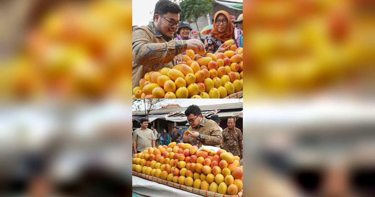 Mangga Ini Terkenal Masam tapi saat Ditanam di Kediri Rasanya Jadi Manis, Peminatnya Membeludak hingga Singapura