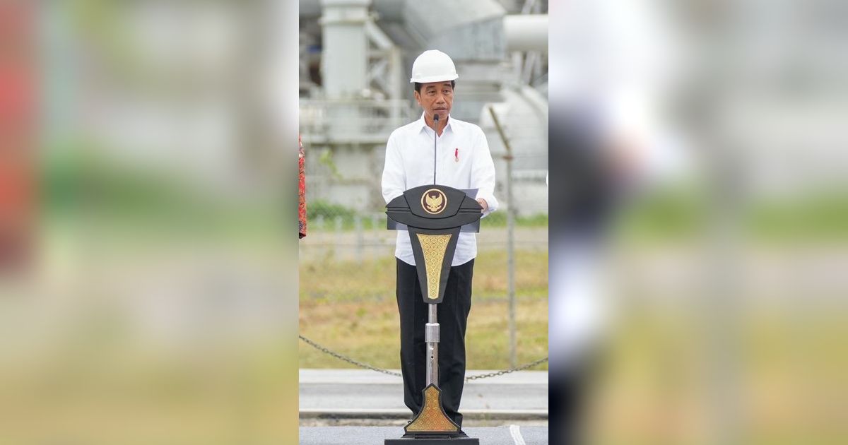 Demi Suplai Pabrik Pupuk di Papua, Presiden Jokowi Dukung 2 Proyek Migas jadi PSN