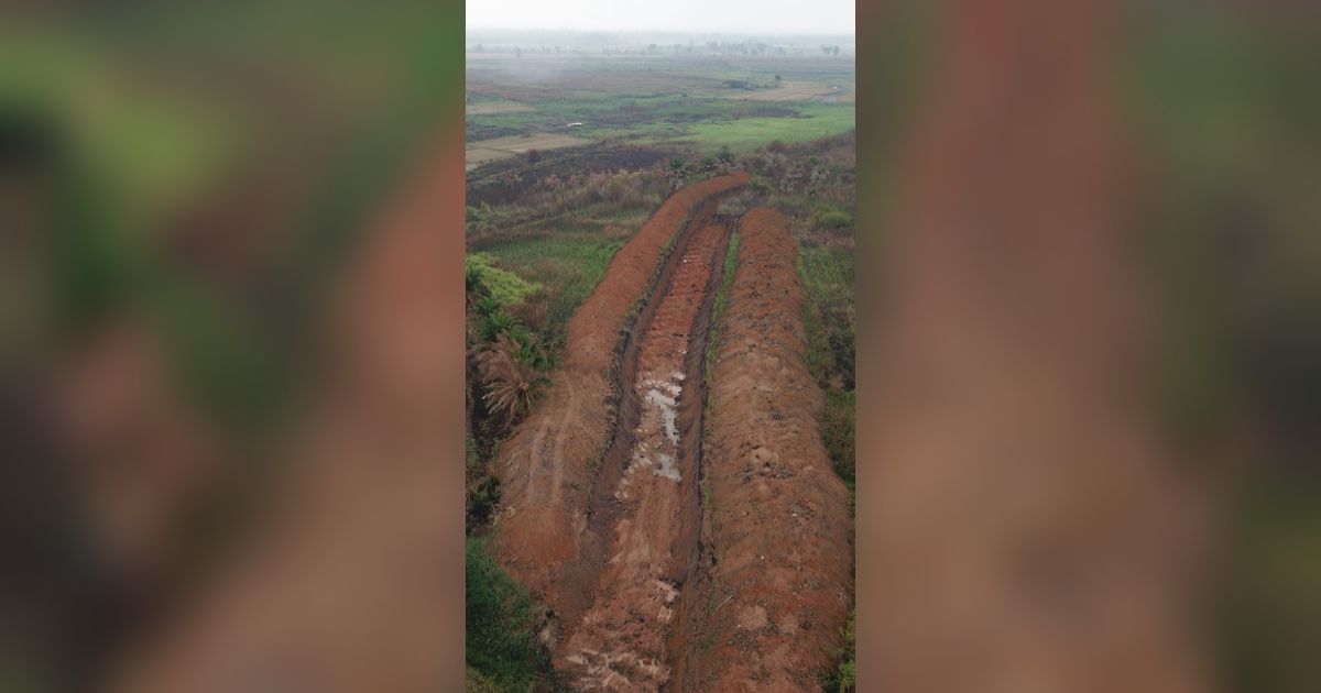 Wujudkan Lumbung Pangan Dunia, Kementan Siapkan Lahan Rawa