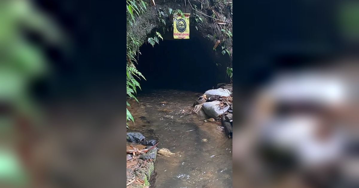 Pesona Gua Coblong di Hutan Sukabumi, Saluran Air yang Pernah Jadi Tempat Persembunyian Pemberontak DI/TII