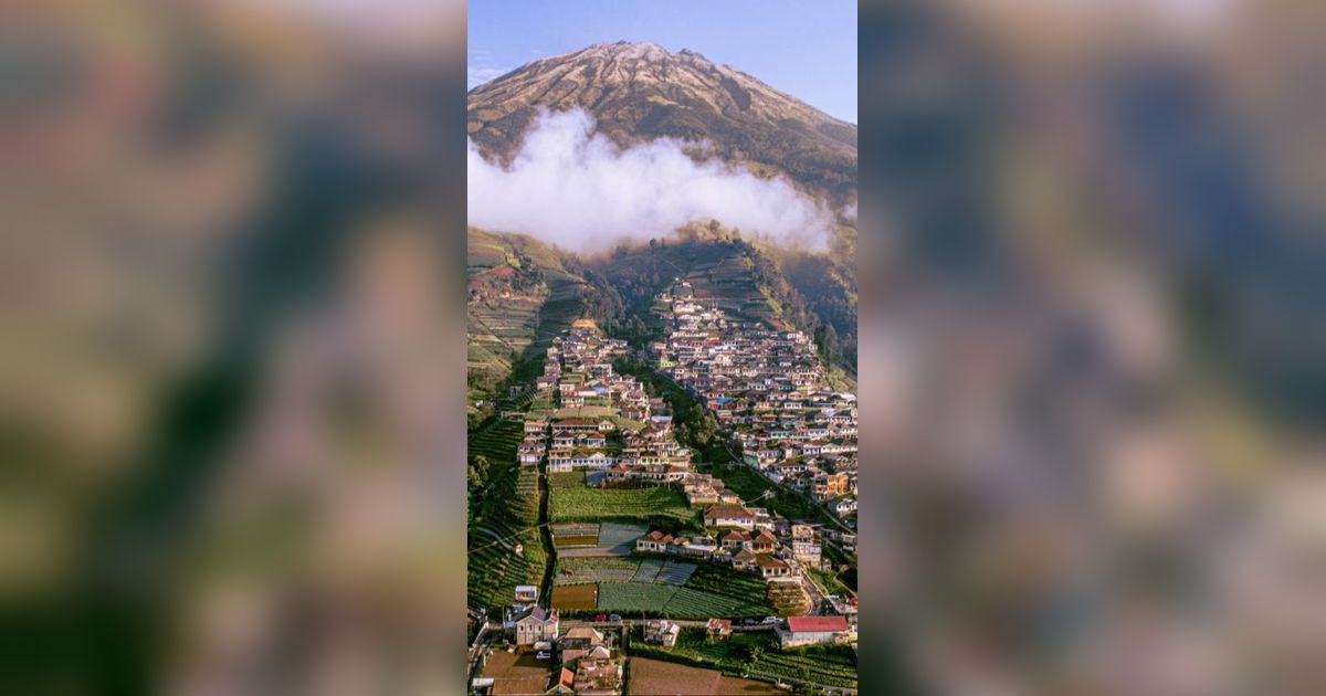 Menilik Keindahan Kaliangkrik, Negeri Atas Awan-nya Magelang Serasa di Himalaya