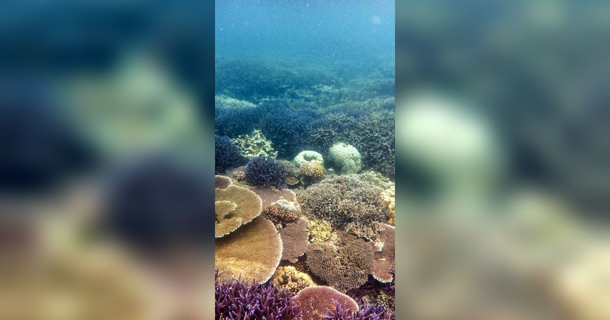 Mengenal Kutai Timur dari Obyek Wisata yang Dikembangkan