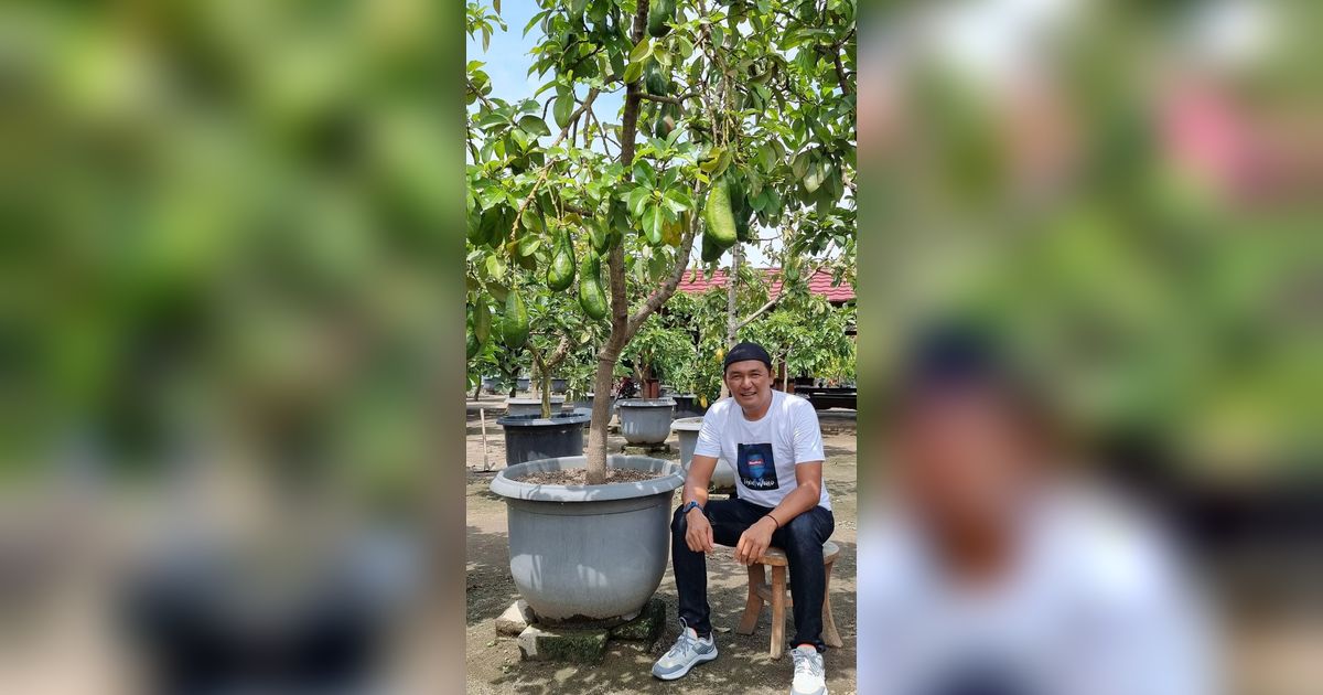 Dulu Miskin Tak Punya Rumah, Pria Kediri Ini Sukses Jadi Juragan Tabulampot Pembelinya dari Seluruh Indonesia
