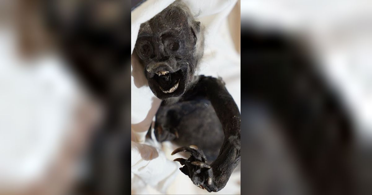 Misteri 'Mumi Putri Duyung' Akhirnya Terkuak, Ternyata Eksperimen Mengerikan