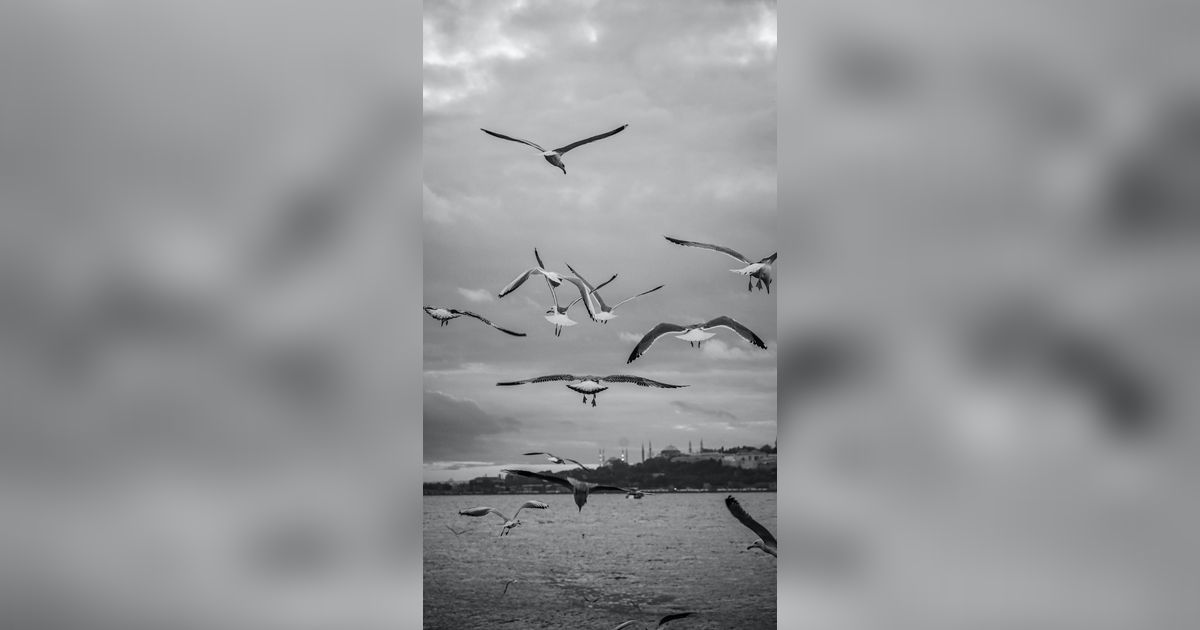 Jejak Burung Purba Berusia 3,6 Juta Tahun Ditemukan, Ternyata Baru Punah 600 Tahun Lalu