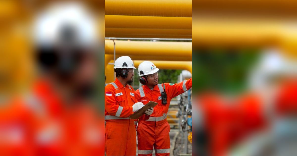 Pabrik Pupuk di Aceh dan Industri Sumut Dapat Pasokan Gas Bumi, Sumber Pasokannya dari Daerah Ini