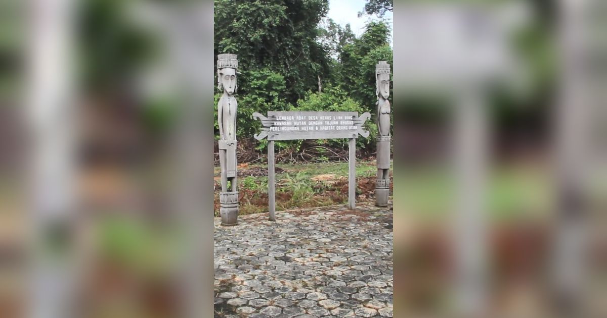 Hutan Lindung Wehea yang Dijaga dengan Pendekatan Hukum Adat