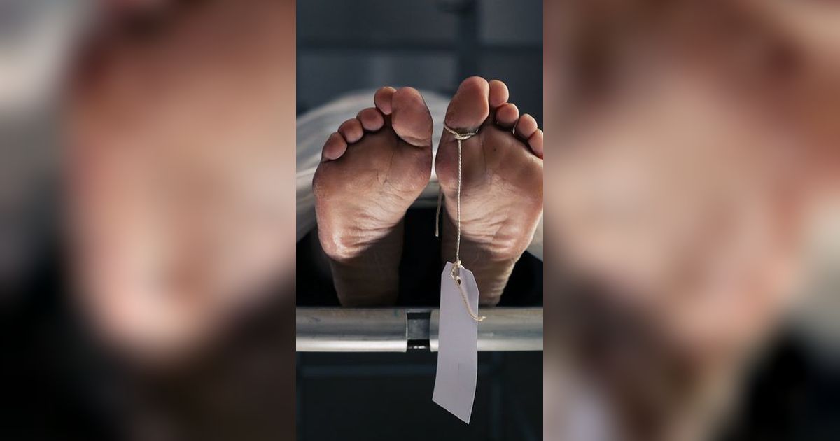 7 Fakta Terbaru Penemuan 5 Mayat Tanpa Identitas di UNPRI Medan, Diduga Cadaver