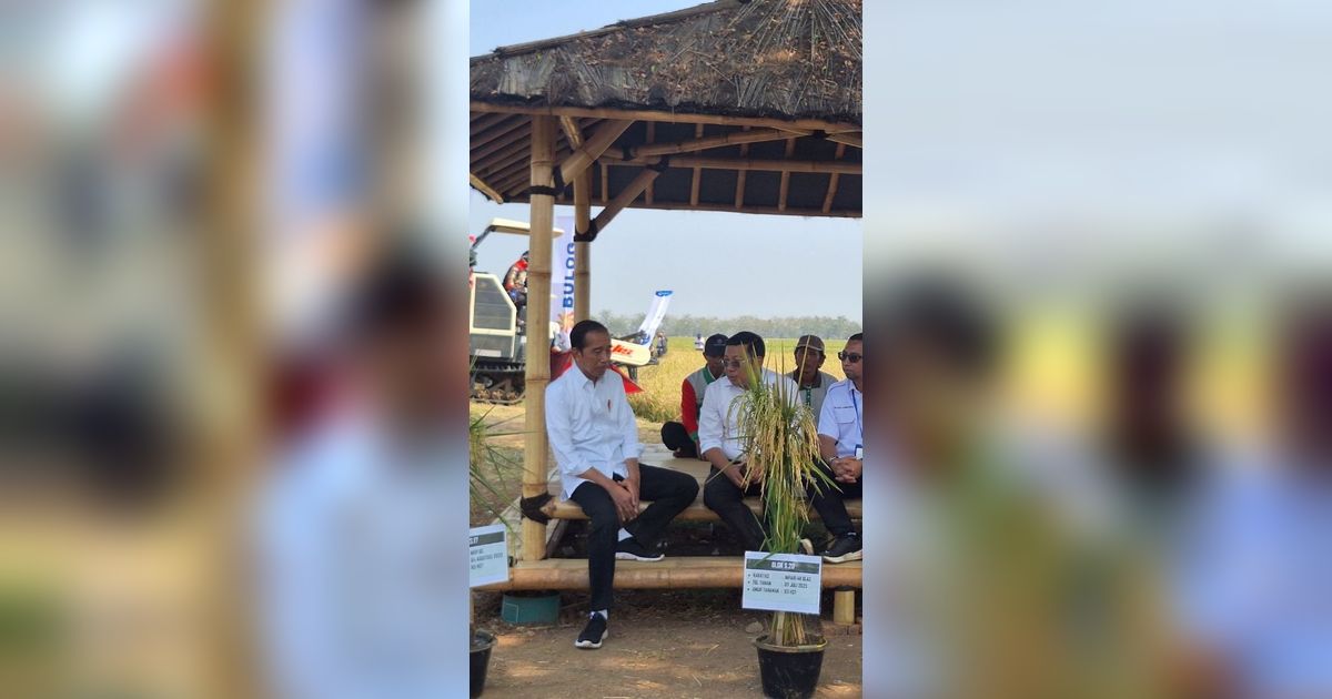 Janji Jokowi ke Petani: Subsidi Pupuk Akan Saya Tambah