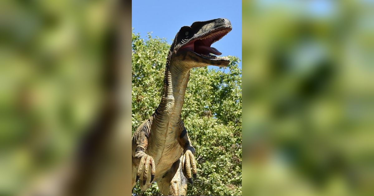 Penelitian Terbaru, Dinosaurus Dulunya Punya Bulu di Tubuhnya
