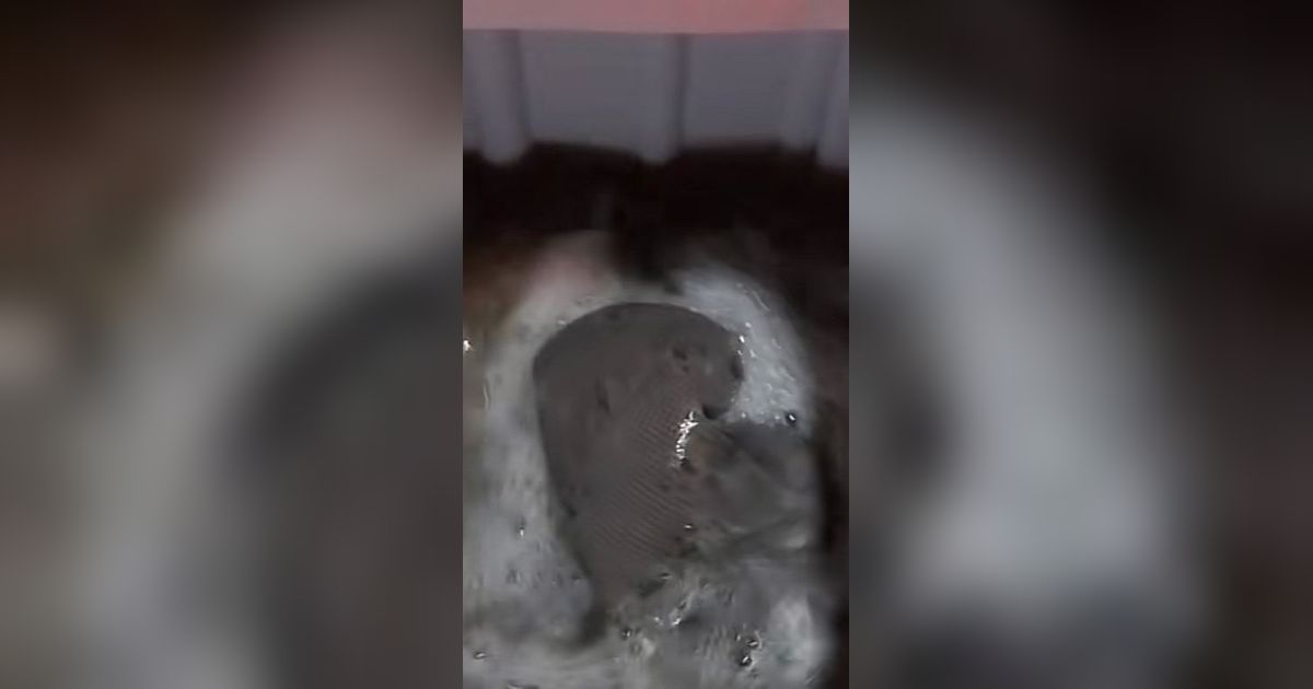 Wanita di Sidoarjo Baru Mencuci Guling Setelah 25 Tahun, Penampakannya Bikin Geleng-Geleng, Airnya Jadi Hitam Pekat
