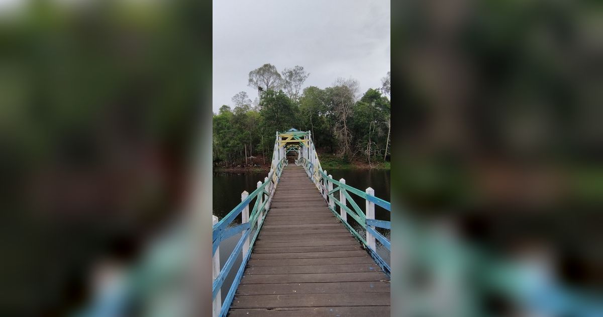 Menikmati Wisata Mangrove Lati Tuo Desa Klempang Sari Kabupaten Paser