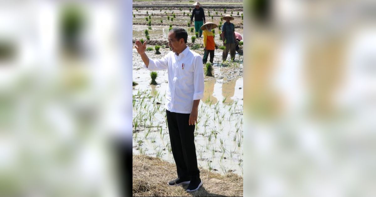 Cerita Tasirah Tolak Jual Sepeda dari Jokowi: Ini Kenang-kenangan Buat Anak Saya