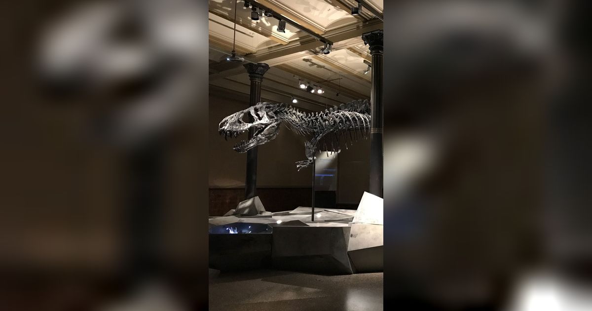8 Fosil Dinosaurus Paling Lengkap dan Utuh yang Pernah Ditemukan