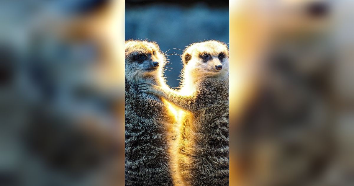 5 Penemuan Spesies Hewan Baru di Tahun 2023, Selama Ini Mereka ke Mana?