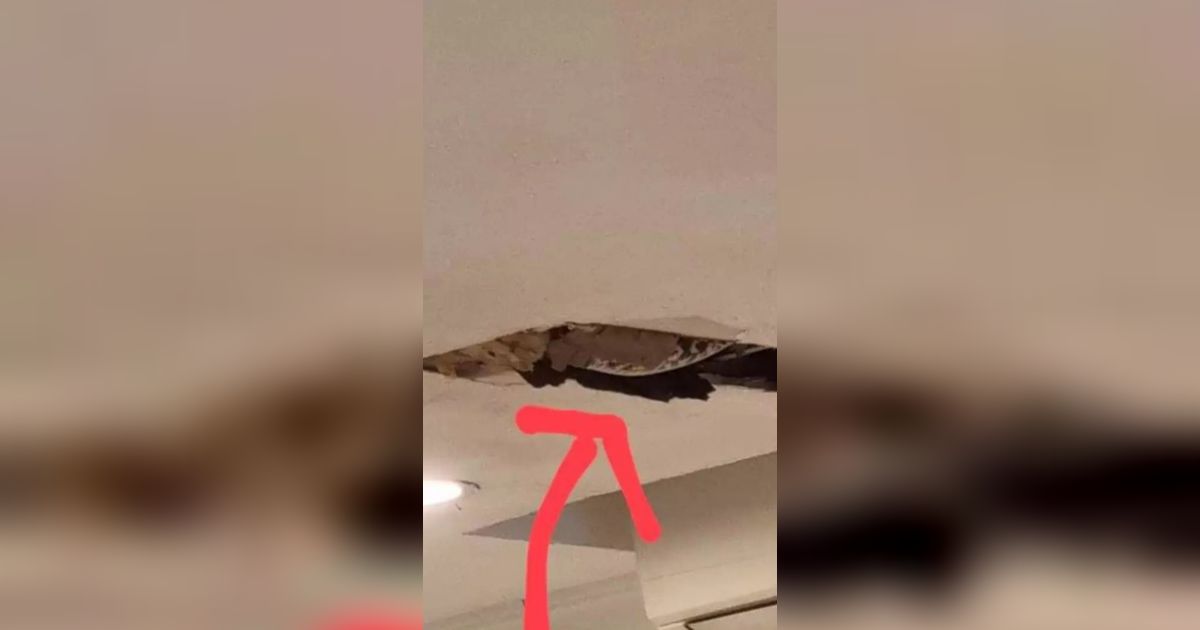 Plafon Restoran Tiba-Tiba Ambrol, Pengunjung Syok Lihat Ular Piton di Atapnya, Penampakannya Bikin Bergidik!