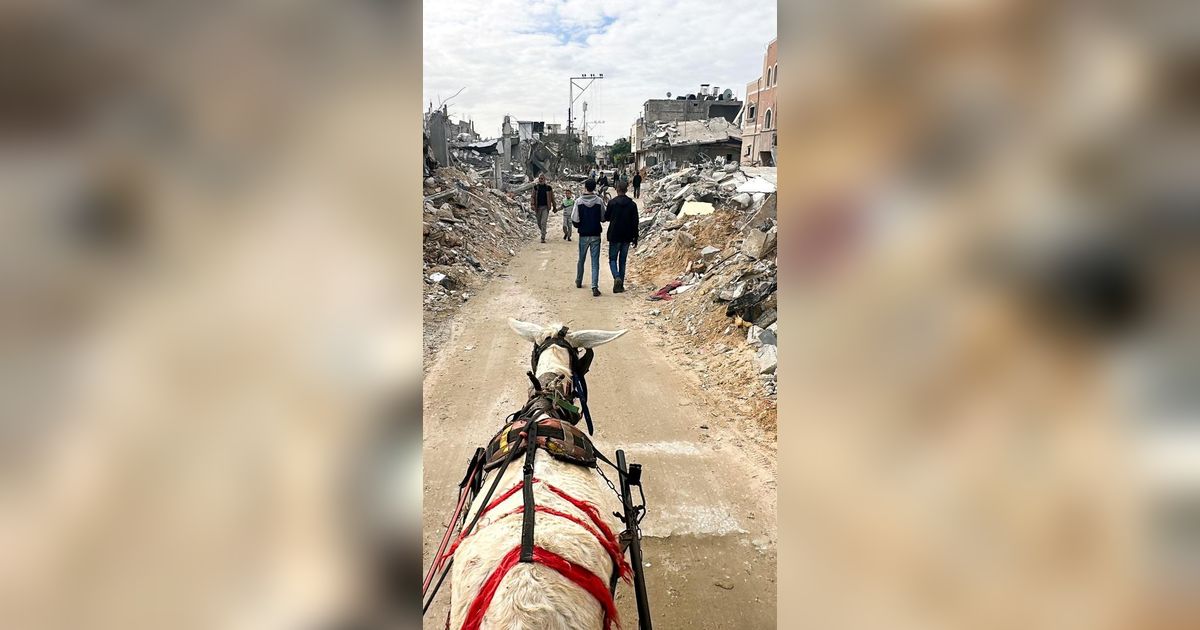 Analis Ungkap Penyebab Beda Sikap Indonesia dan Korea Selatan Soal Perang di Gaza