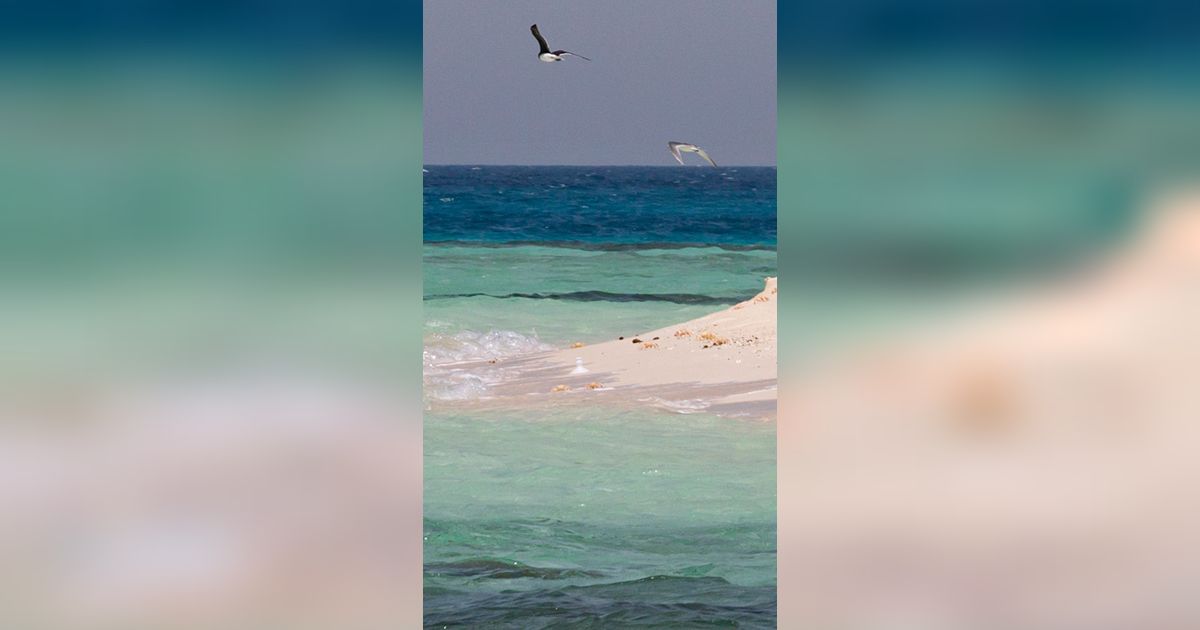 Harga Minyak Diprediksi Melonjak Akibat Serangan Houthi di Laut Merah