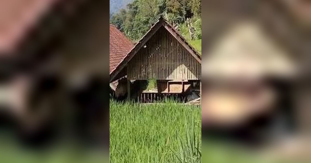 Potret Rumah Bambu di Kampung, Penampakan Toiletnya Bikin Melongo