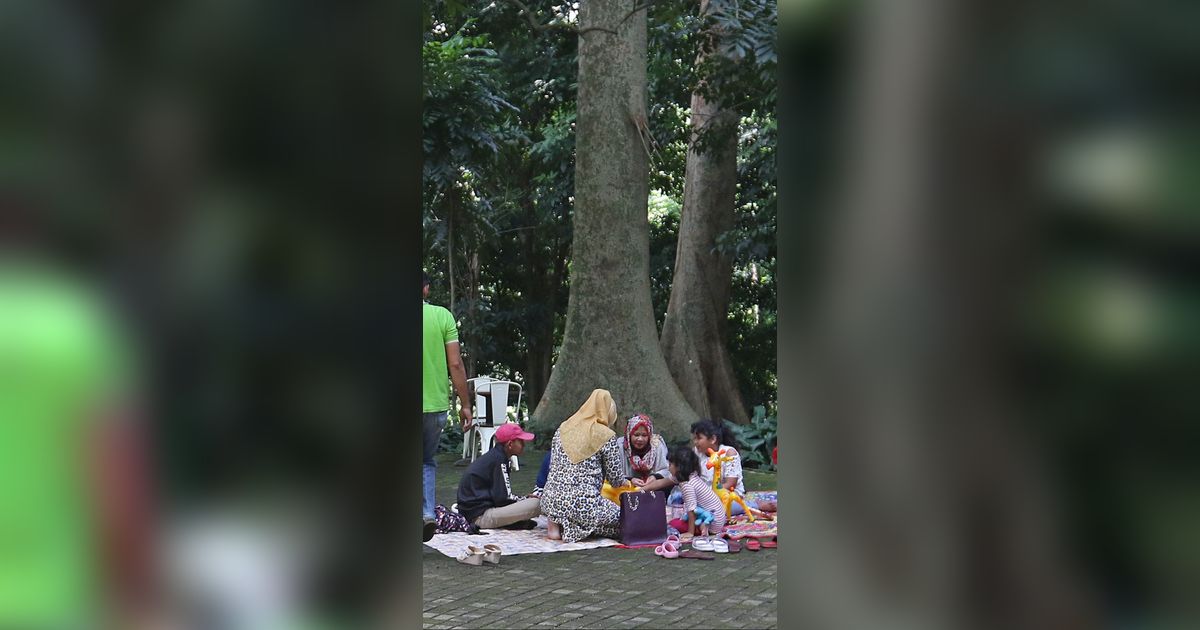5 Rekomendasi Tempat Wisata di Bogor yang Cocok untuk Libur Nataru