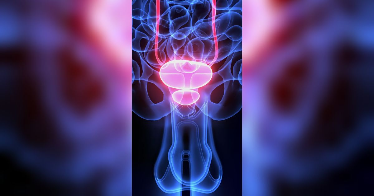 Gejala Radang Prostat yang Penting Diwaspadai, Penyakit Akibat Menahan Kencing