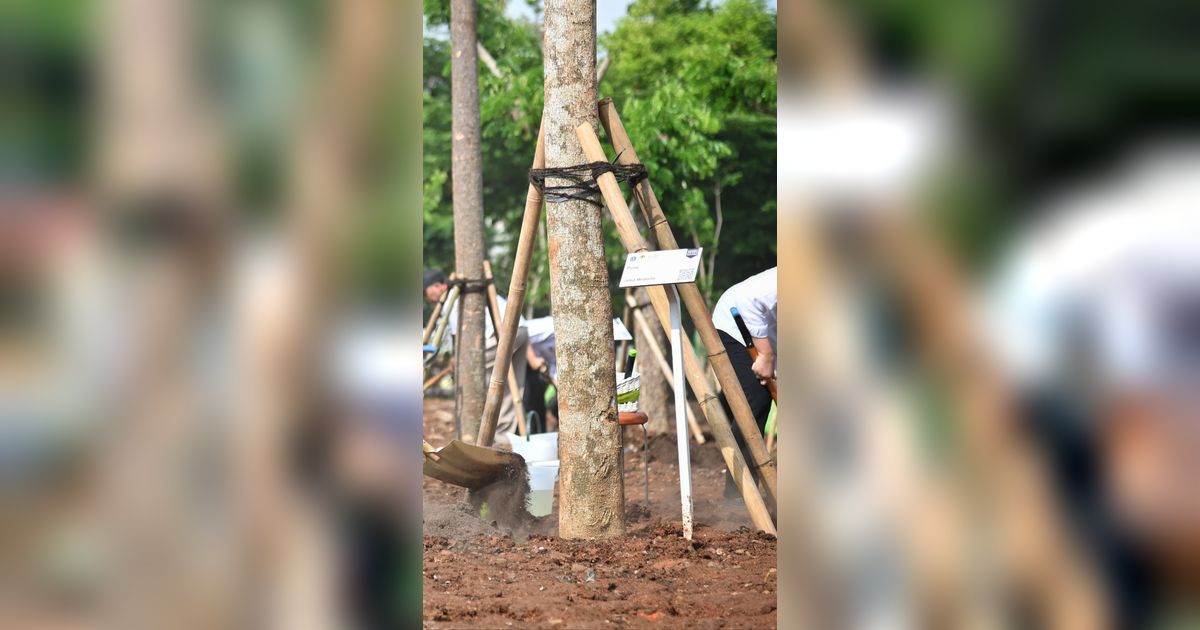 Sebanyak 2.021 Pohon Ditanam di Bogor Demi Menekan Emisi Karbon