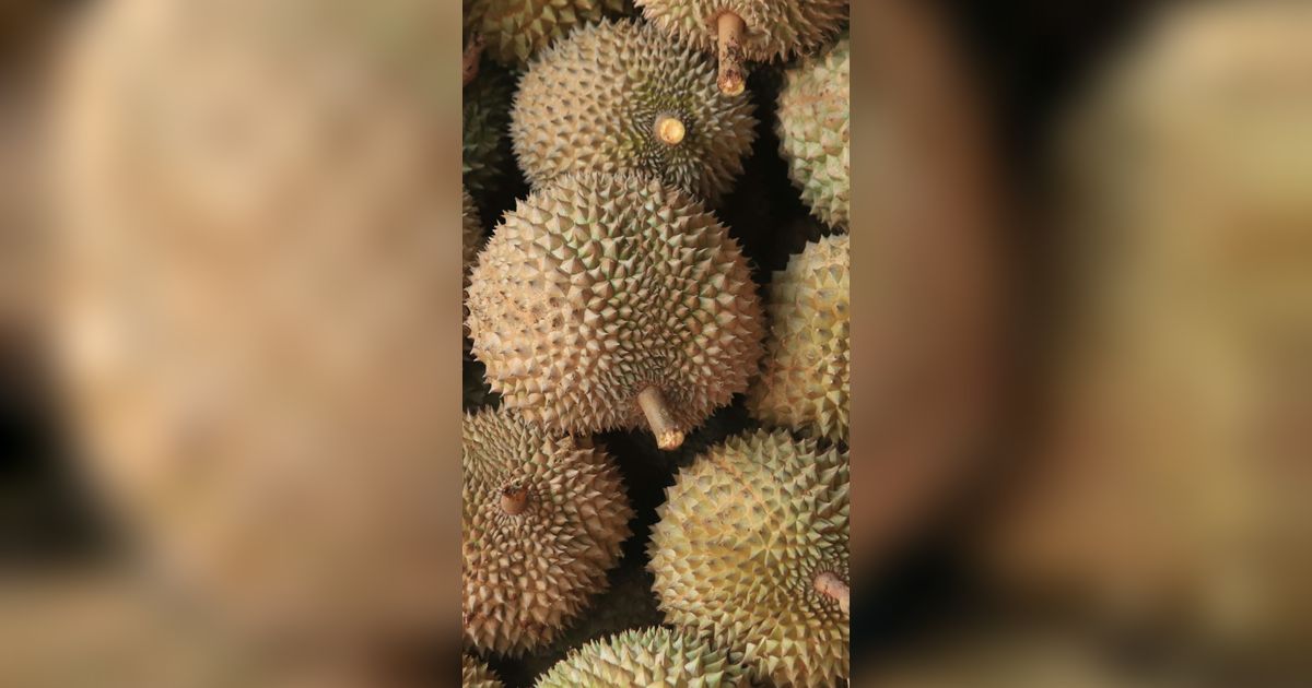 10 Manfaat Buah Durian untuk Kesehatan yang Perlu Diketahui