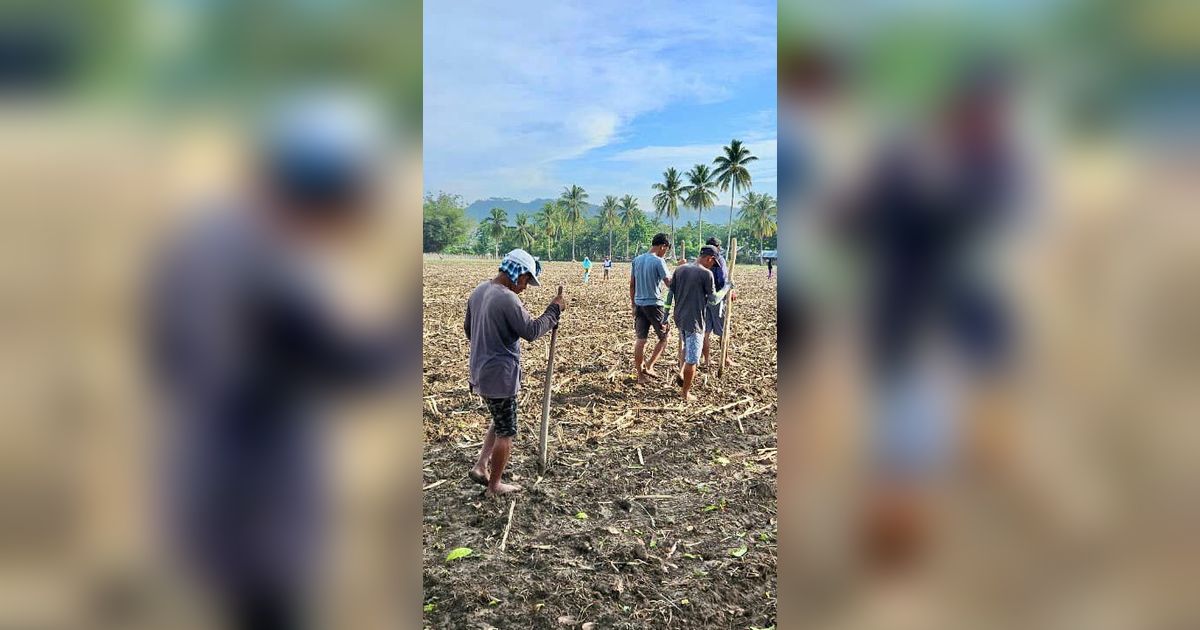 Debat Cawapres Harus Perjelas Program Kredit untuk UMKM Pertanian