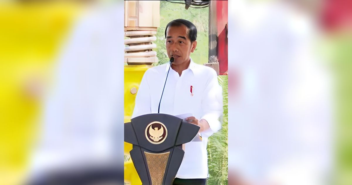 Jokowi akan Kenalkan Presiden Terpilih ke Temannya, MBZ dan MBS