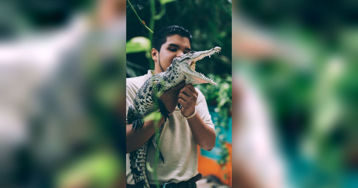 10 Arti Mimpi Buaya yang Dipercaya Jadi Pertanda Ancaman