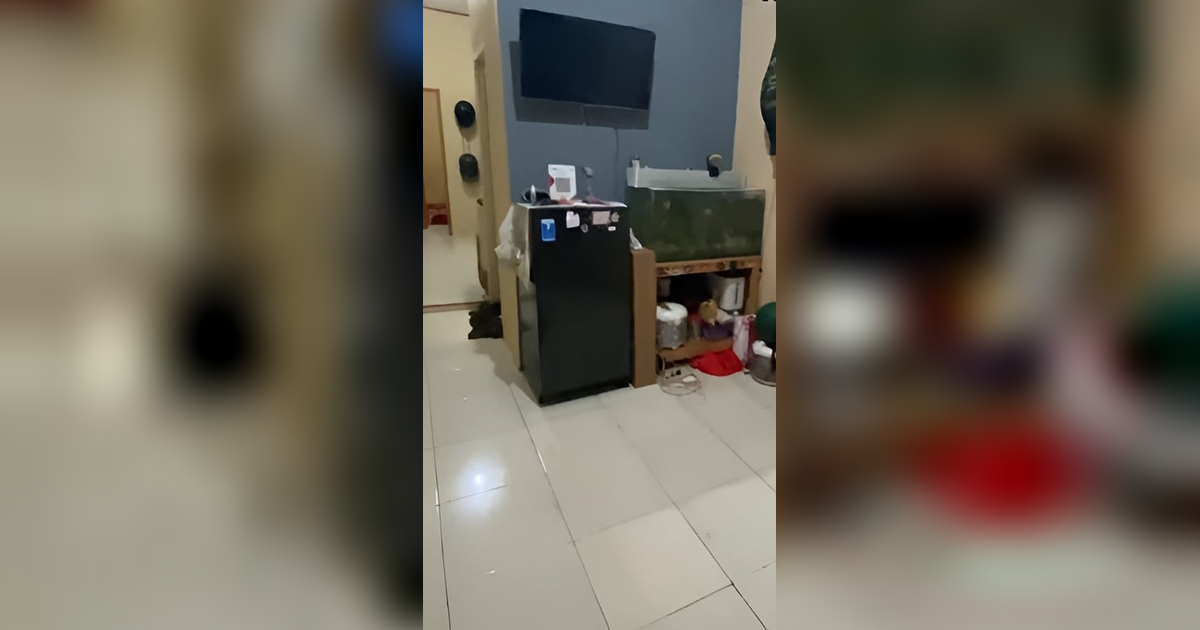 Potret Rumah Kontrakan Nyeleneh di Cikarang, Kamar Tidur Persis Samping Dapur