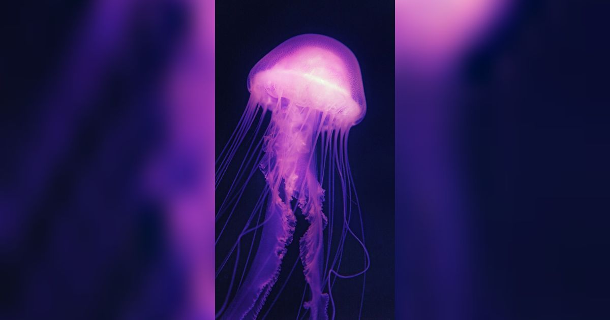 Untuk Pertama Kali dalam Sejarah, Penampakan Hewan Laut Ini Tertangkap Kamera