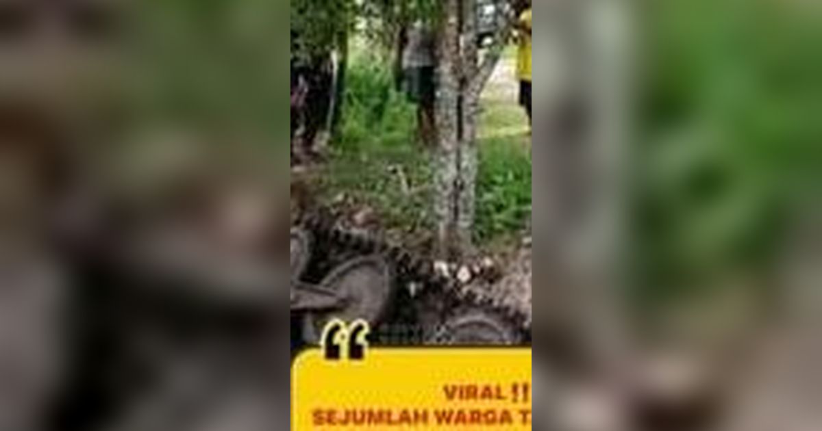 VIDEO: Gali Tanah Samping Rumah Malah Dapat Tank Peninggalan Belanda